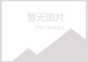 岐山县难得造纸有限公司